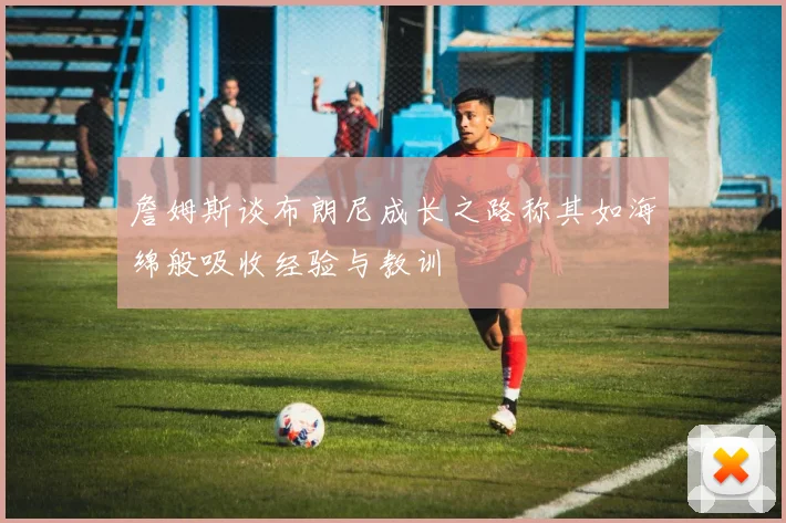 詹姆斯谈布朗尼成长之路称其如海绵般吸收经验与教训