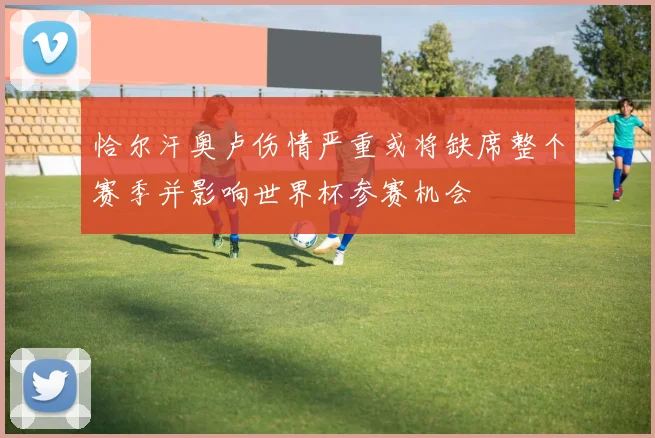 恰尔汗奥卢伤情严重或将缺席整个赛季并影响世界杯参赛机会