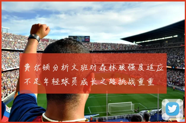 费尔顿分析文班对森林狼强度适应不足年轻球员成长之路挑战重重